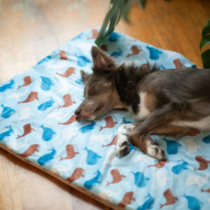 Kocyk dla psa - WHALE ME - mata dla psa